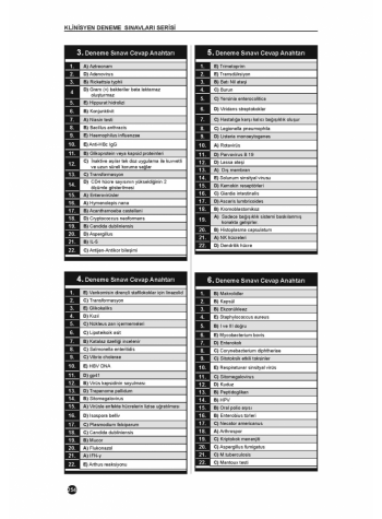 41 DENEME SINAVLARI SERİSİ ( 2.Cilt )