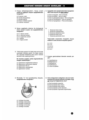 41 DENEME SINAVLARI SERİSİ ( 1.Cilt )