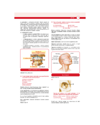 Dusdatamax Anatomi Soruları ( 5.Baskı )