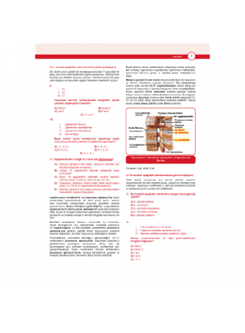 Dusdatamax Anatomi Soruları ( 5.Baskı )