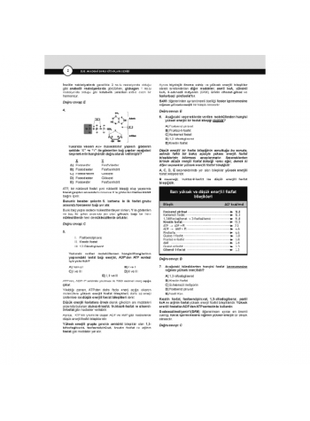 Dusdatamax Biyokimya Soruları ( 5.Baskı )