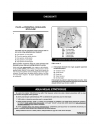 Dusdatamax Endodonti Soruları ( 5.Baskı )