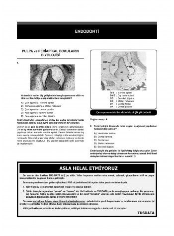 Dusdatamax Endodonti Soruları ( 5.Baskı )