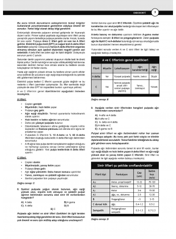 Dusdatamax Endodonti Soruları ( 5.Baskı )