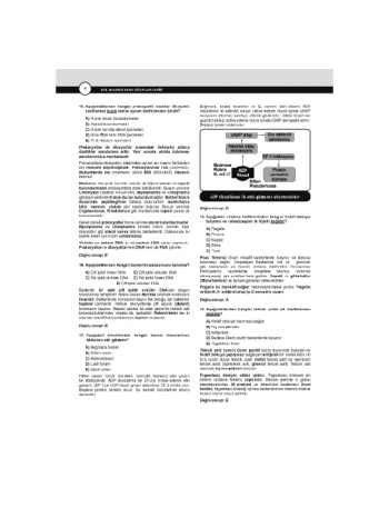 Dusdatamax Mikrobiyoloji Soruları ( 5.Baskı )