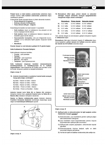 Dusdatamax Ortodonti Soruları ( 5.Baskı )