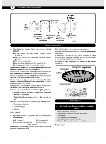 Dusdatamax Tıbbi Biyoloji ve Genetik Soruları ( 2.Baskı )