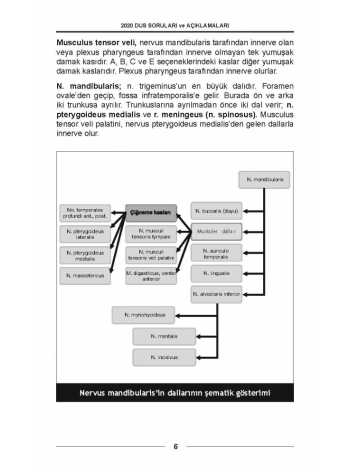 DUS SORULARI - ÖSYM'nin Orijinal 2020