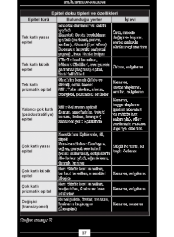 EYLÜL 2012 DUS SORULARI ve Detaylı Açıklamaları