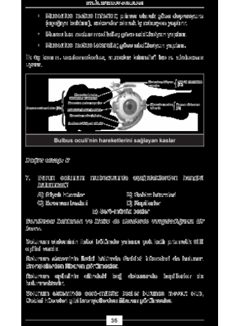 EYLÜL 2012 DUS SORULARI ve Detaylı Açıklamaları