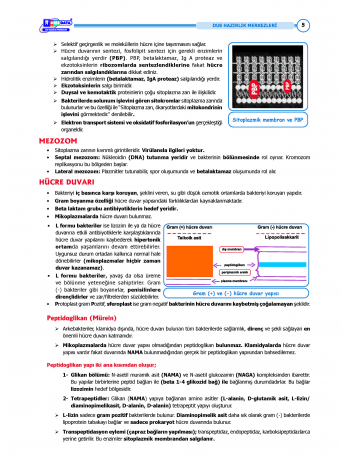 DUS Şampiyonların Notu - Mikrobiyoloji ( 2025 )