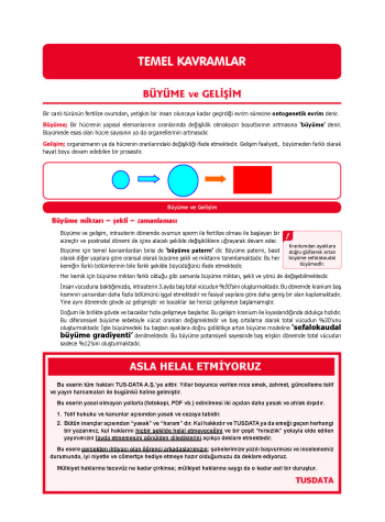 DUS Şampiyonların Notu - Ortodonti ( 2025 )