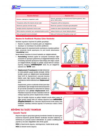 DUS Şampiyonların Notu - Ortodonti ( 2025 )