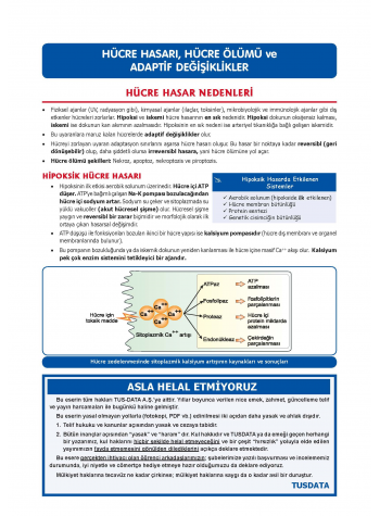 DUS Şampiyonların Notu - Patoloji ( 2025 )