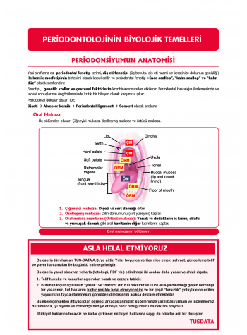 DUS Şampiyonların Notu - Periodontoloji ( 2025 )