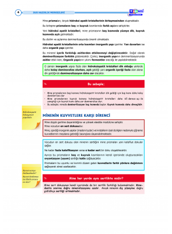 DUS Şampiyonların Notu - Restoratif Diş ( 2025 )