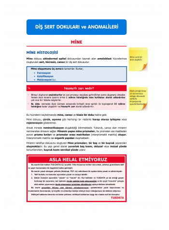 DUS Şampiyonların Notu - Restoratif Diş ( 2025 )