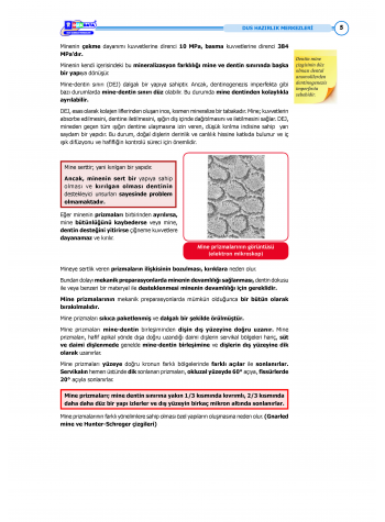 DUS Şampiyonların Notu - Restoratif Diş ( 2025 )