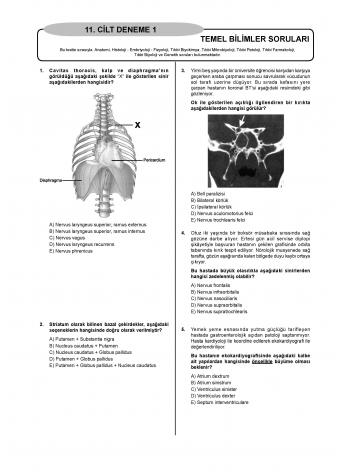 Denttest Deneme Sınavları / 11.Cilt