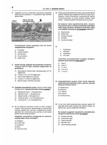 Denttest Deneme Sınavları / 12.Cilt