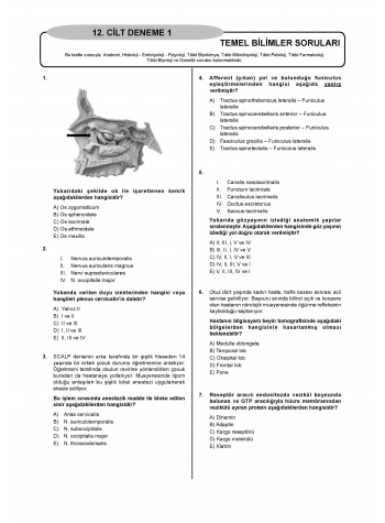 Denttest Deneme Sınavları / 12.Cilt