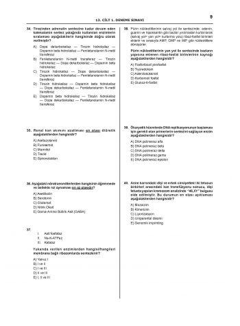 Denttest Deneme Sınavları / 13.Cilt