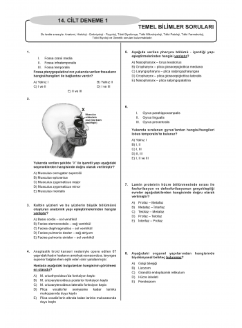 Denttest Deneme Sınavları / 14.Cilt