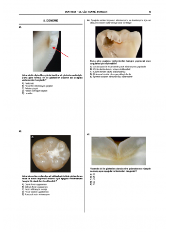 Denttest Deneme Sınavları / 15.Cilt