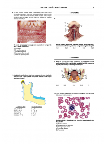 Denttest Deneme Sınavları / 15.Cilt