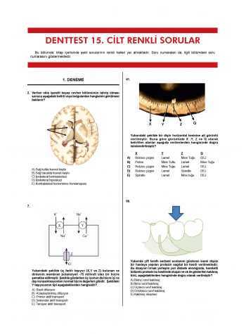 Denttest Deneme Sınavları / 15.Cilt