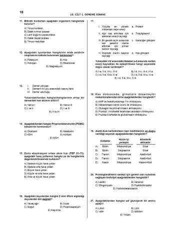 Denttest Deneme Sınavları / 16.Cilt