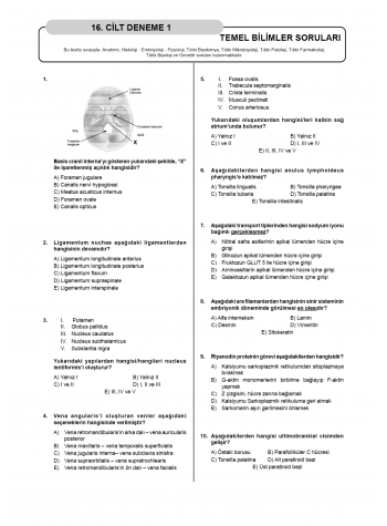 Denttest Deneme Sınavları / 16.Cilt