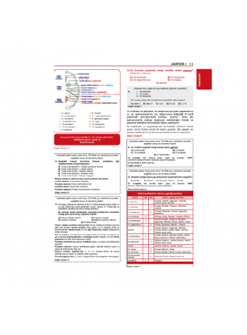 Tüm Dus Soruları 1+2 ( 2.Baskı ) Temel / 1.Cilt