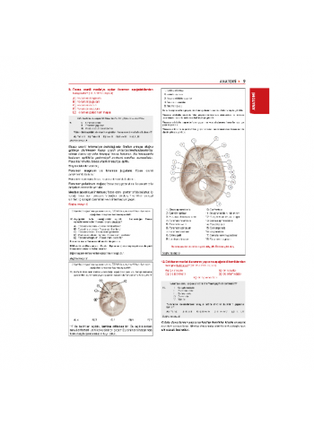 Tüm Dus Soruları 1+2 ( 2.Baskı ) Temel / 1.Cilt