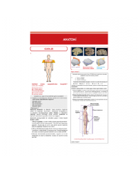 Tüm Dus Soruları 1+2 ( 2.Baskı ) Temel / 1.Cilt