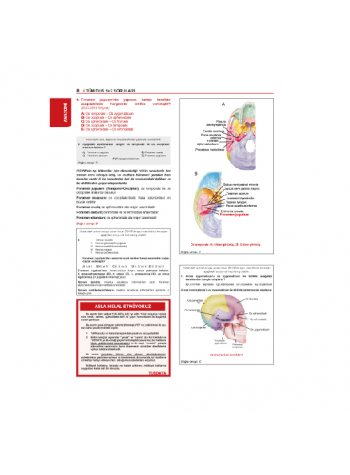 Tüm Dus Soruları 1+2 ( 2.Baskı ) Temel / 1.Cilt