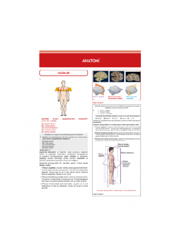 Tüm Dus Soruları 1+2 ( 2.Baskı ) Temel / 1.Cilt