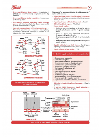 TUS Hızlı Tekrar Mikrobiyoloji ( 5 - 1 )