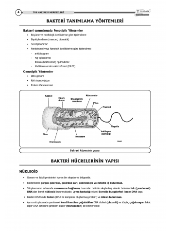 TUS Kampı Kitabı ( Hedef 65 ) Mikrobiyoloji