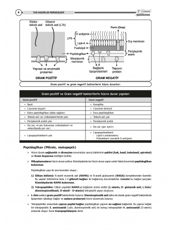 TUS Kampı Kitabı ( Hedef 65 ) Mikrobiyoloji