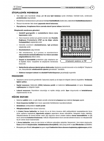 TUS Kampı Kitabı ( Hedef 65 ) Mikrobiyoloji