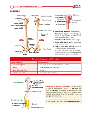 TUS Kampı Kitabı ( Hedef 65 ) Anatomi