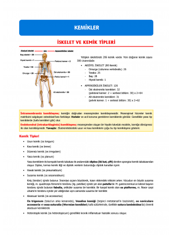 TUS Kampı Kitabı ( Hedef 65 ) Anatomi