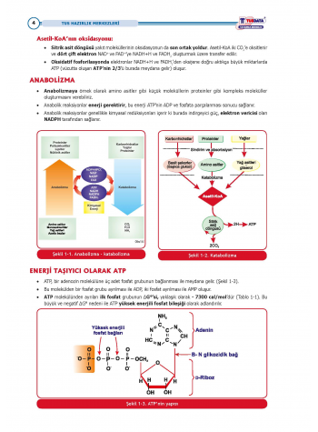 TUS Kampı Kitabı ( Hedef 65 ) Biyokimya