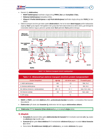 TUS Kampı Kitabı ( Hedef 65 ) Biyokimya