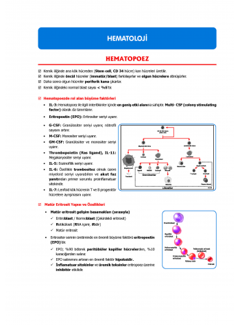 TUS Kampı Kitabı ( Hedef 65 ) Dahiliye / 2.Baskı