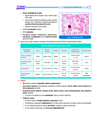 TUS Kampı Kitabı ( Hedef 65 ) Dahiliye / 2.Baskı