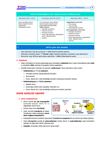 TUS Kampı Kitabı ( Hedef 65 ) Dahiliye / 2.Baskı