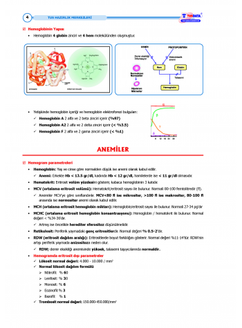 TUS Kampı Kitabı ( Hedef 65 ) Dahiliye / 2.Baskı