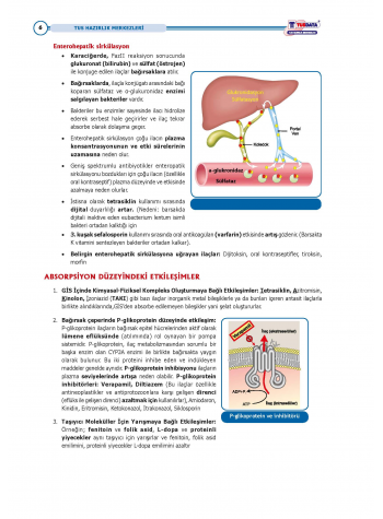 TUS Kampı Kitabı ( Hedef 65 ) Farmakoloji